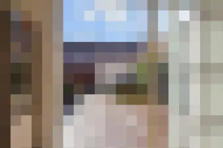 Miamihof 62 Den Haag thumbnail 48