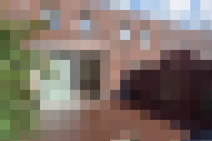 Miamihof 62 Den Haag thumbnail 5