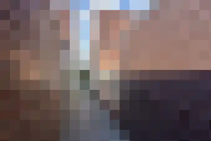 Miamihof 62 Den Haag thumbnail 52