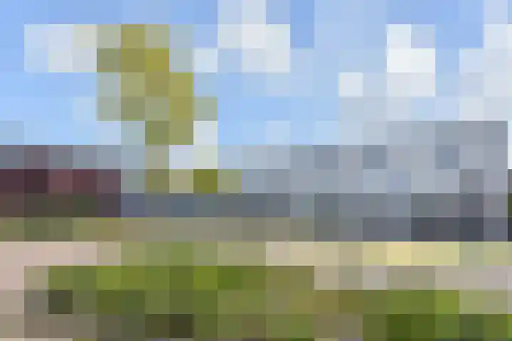 Miamihof 62 Den Haag thumbnail 9