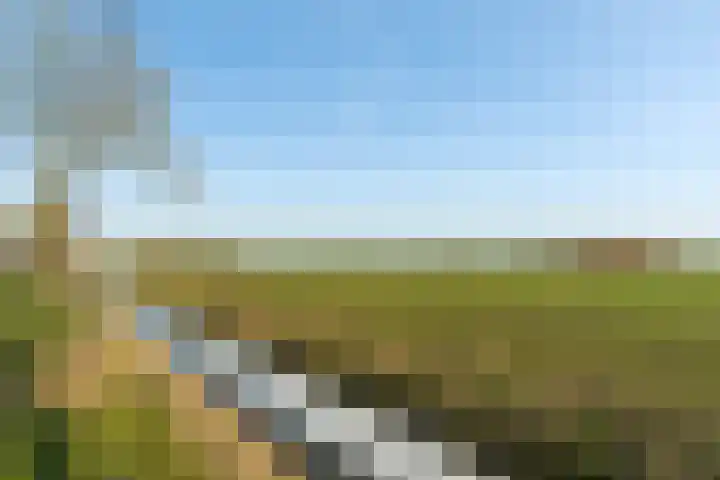 Michaelpaed 14 Lekkum thumbnail 30