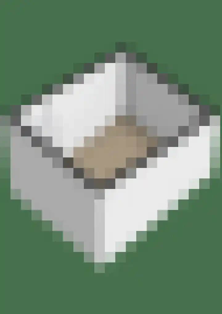 Michaelpaed 14 Lekkum thumbnail 40
