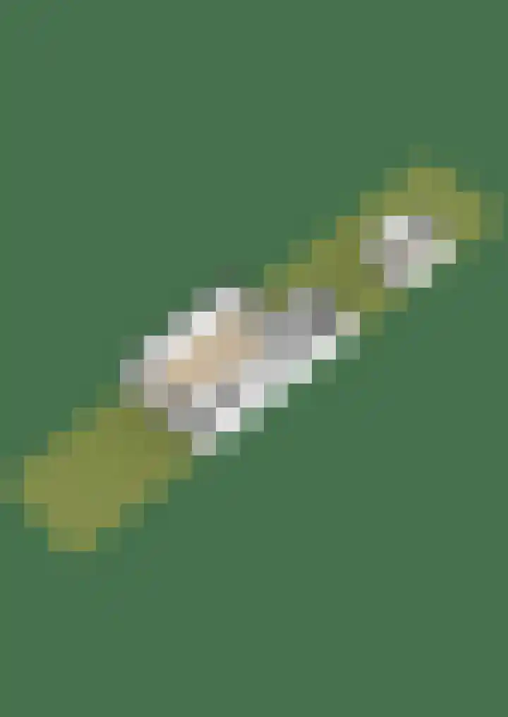 Michaelpaed 14 Lekkum thumbnail 41