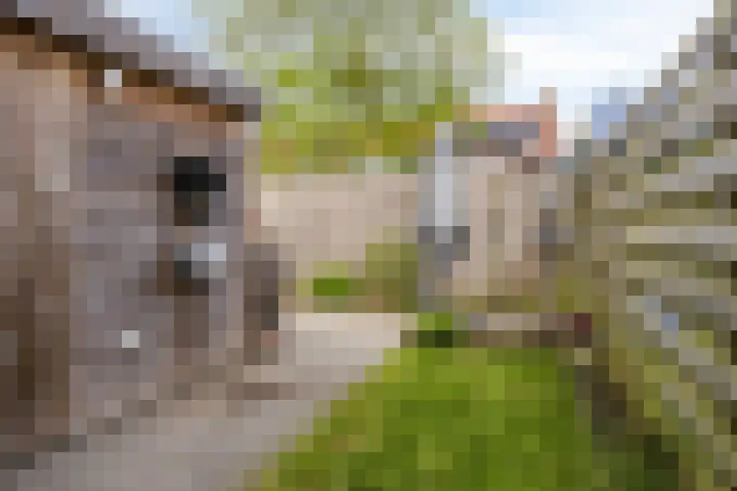 Michaelpaed 16 Lekkum thumbnail 20