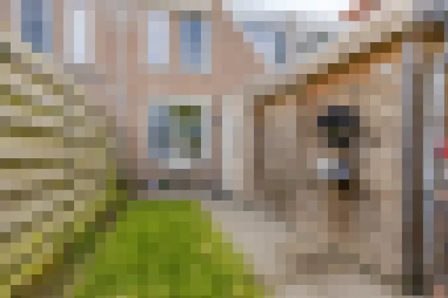 Michaelpaed 16 Lekkum thumbnail 24