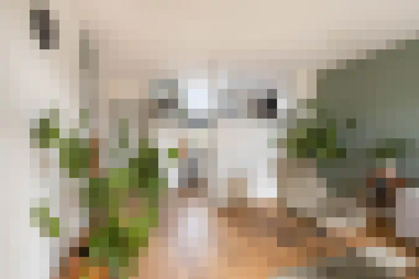 Michaelpaed 16 Lekkum thumbnail 4