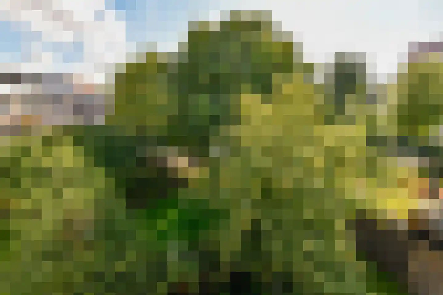 Michaëlplein 100 Duivendrecht thumbnail 12