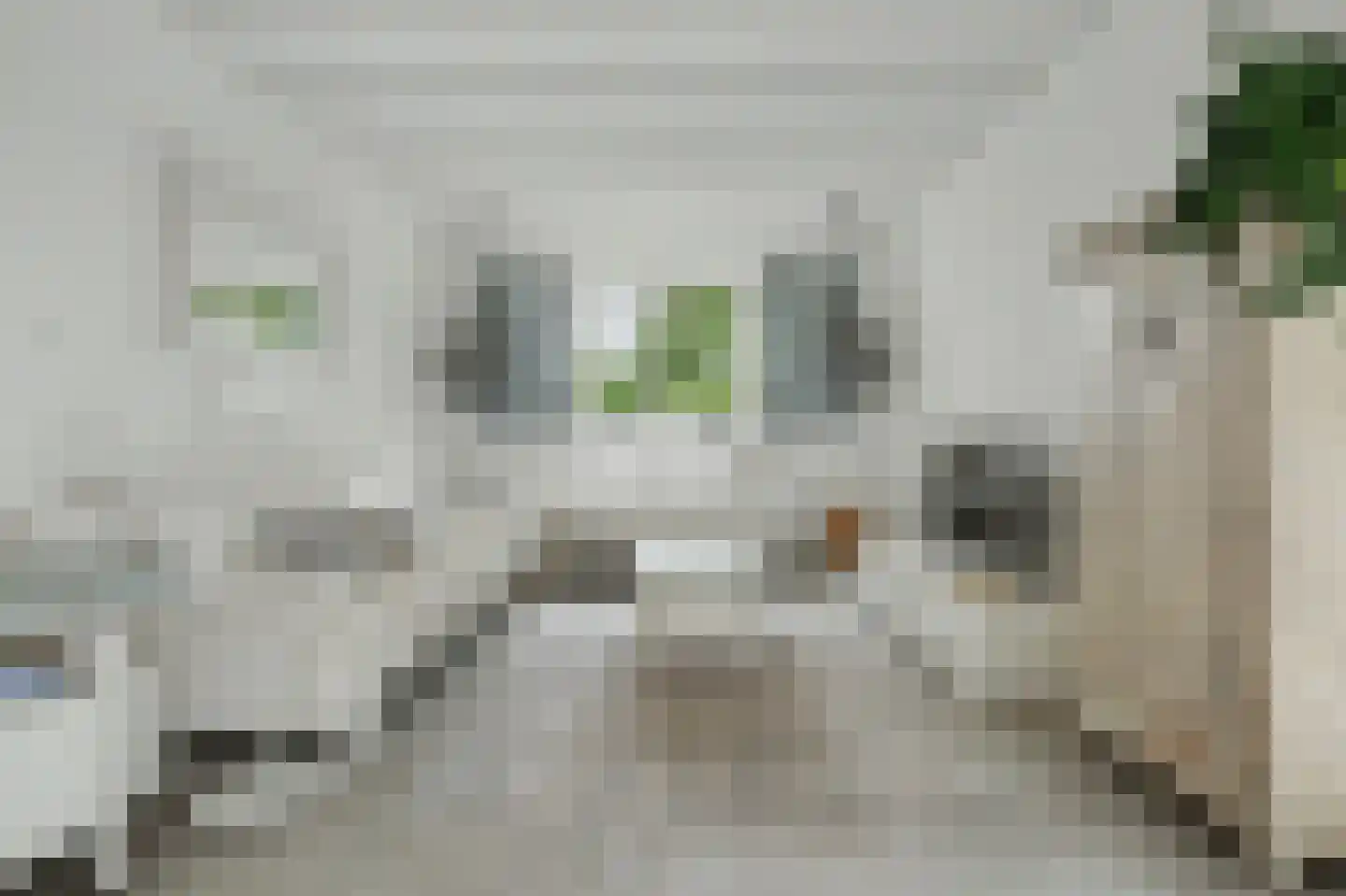 Michaelsdreef 6 Middelburg thumbnail 18