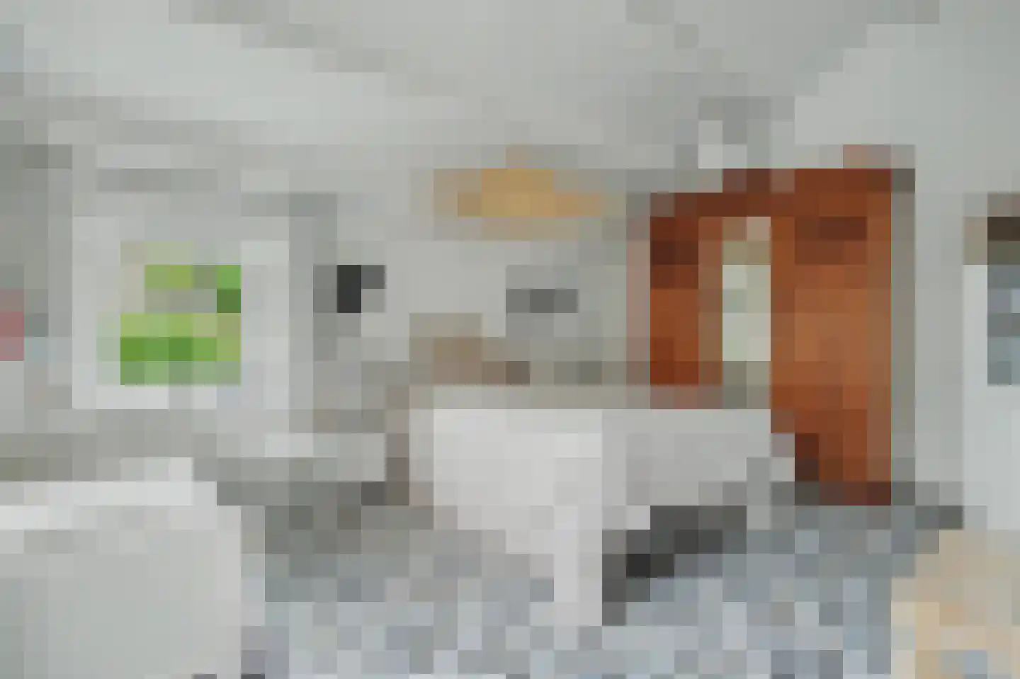 Michaelsdreef 6 Middelburg thumbnail 31