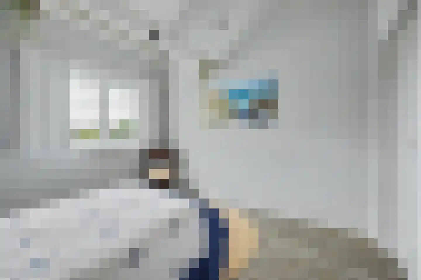 Michaelsdreef 6 Middelburg thumbnail 41