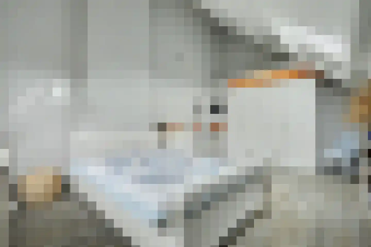 Michaelsdreef 6 Middelburg thumbnail 48