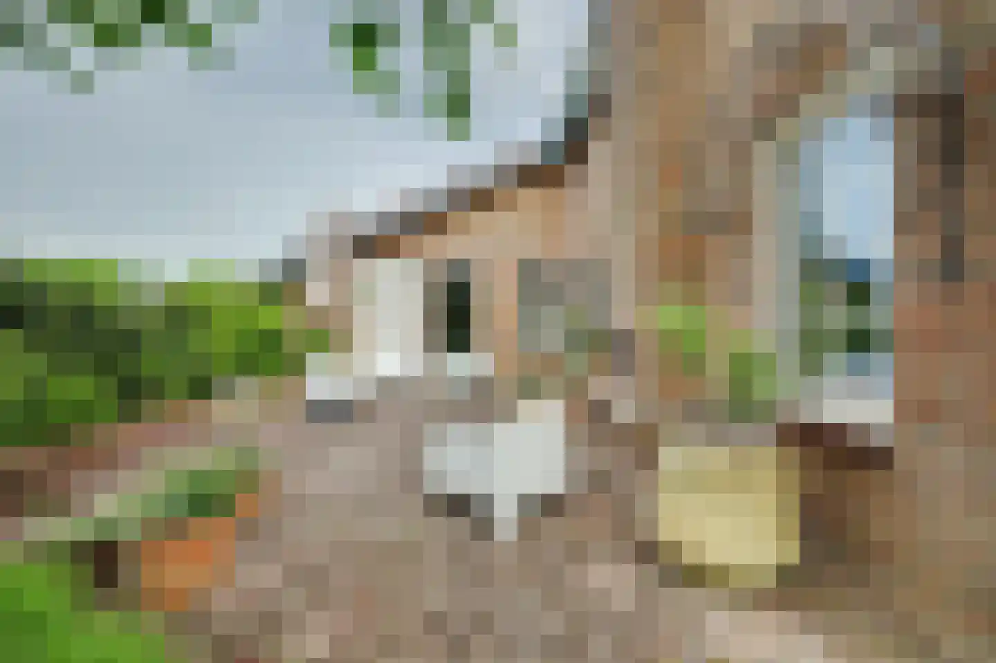 Michaelsdreef 6 Middelburg thumbnail 55