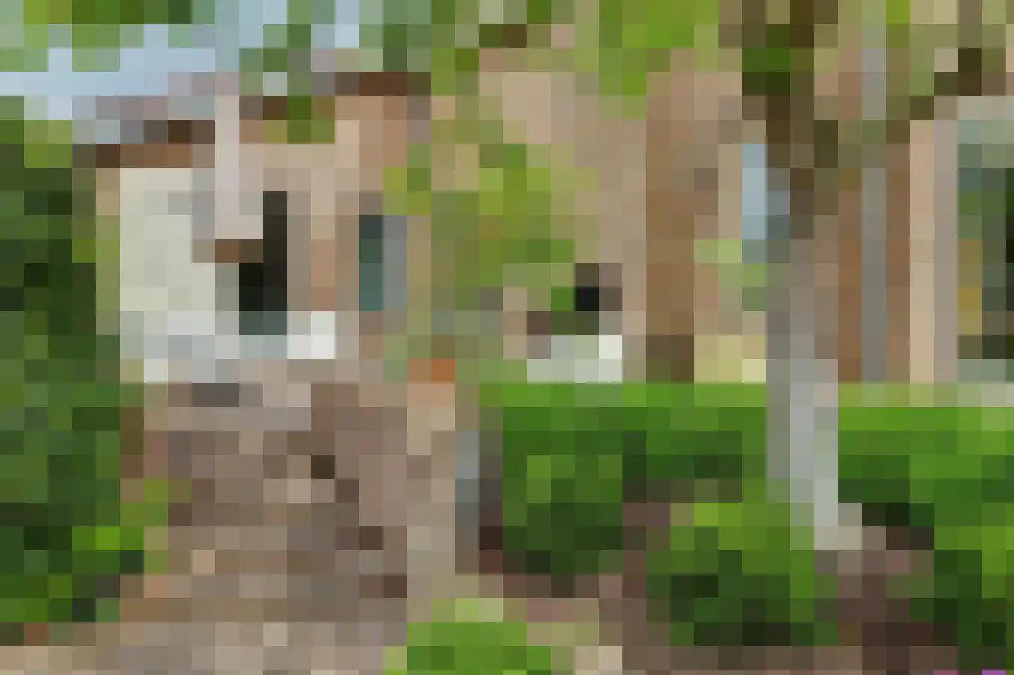 Michaelsdreef 6 Middelburg thumbnail 57