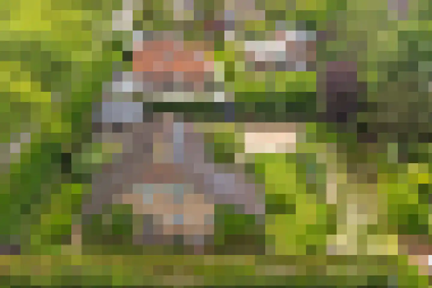 Michaelsdreef 6 Middelburg thumbnail 65