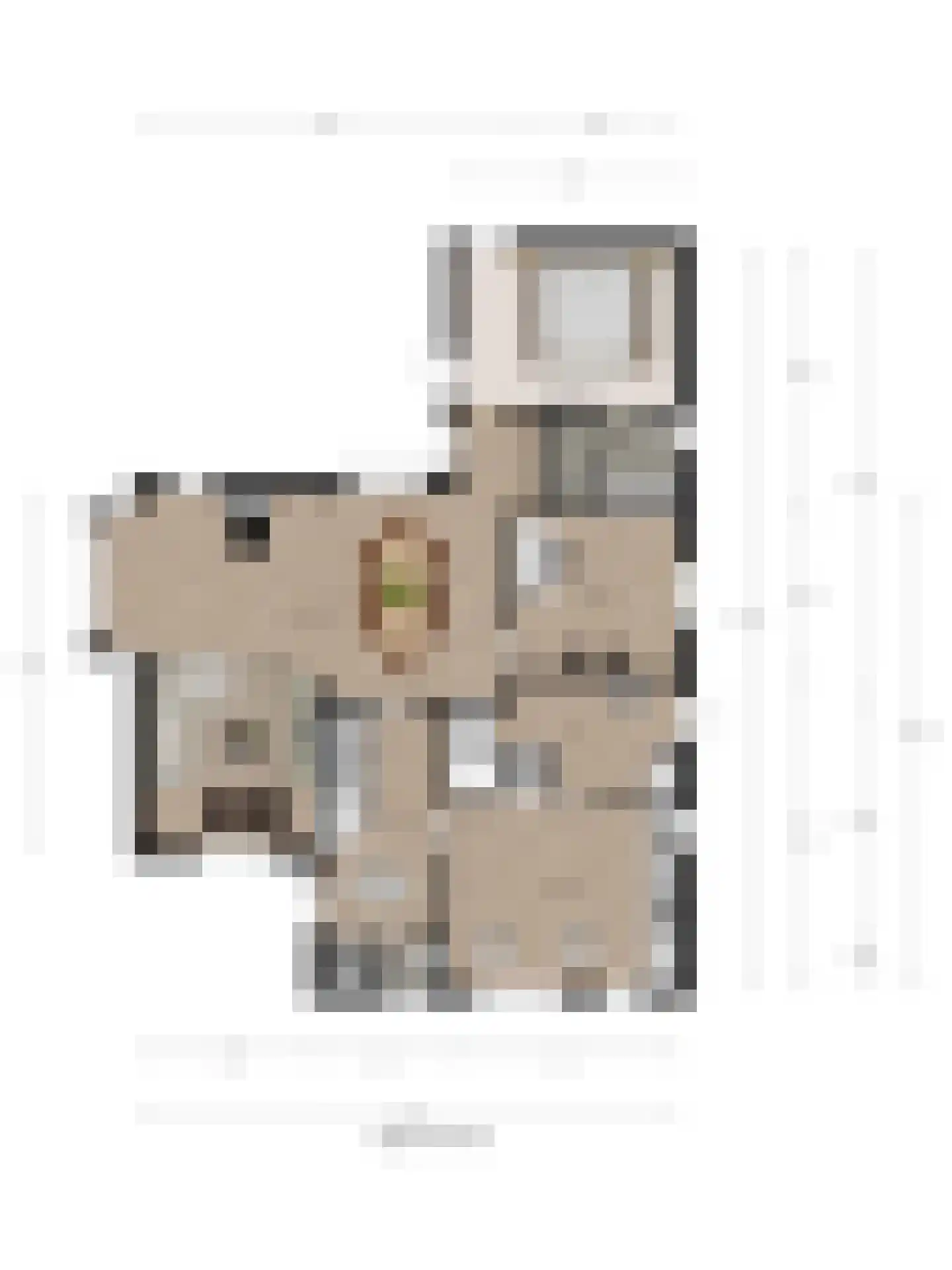 Michaelsdreef 6 Middelburg thumbnail 69