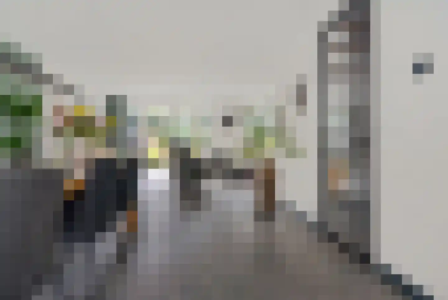 Michelangelohage 3 Emmeloord thumbnail 14