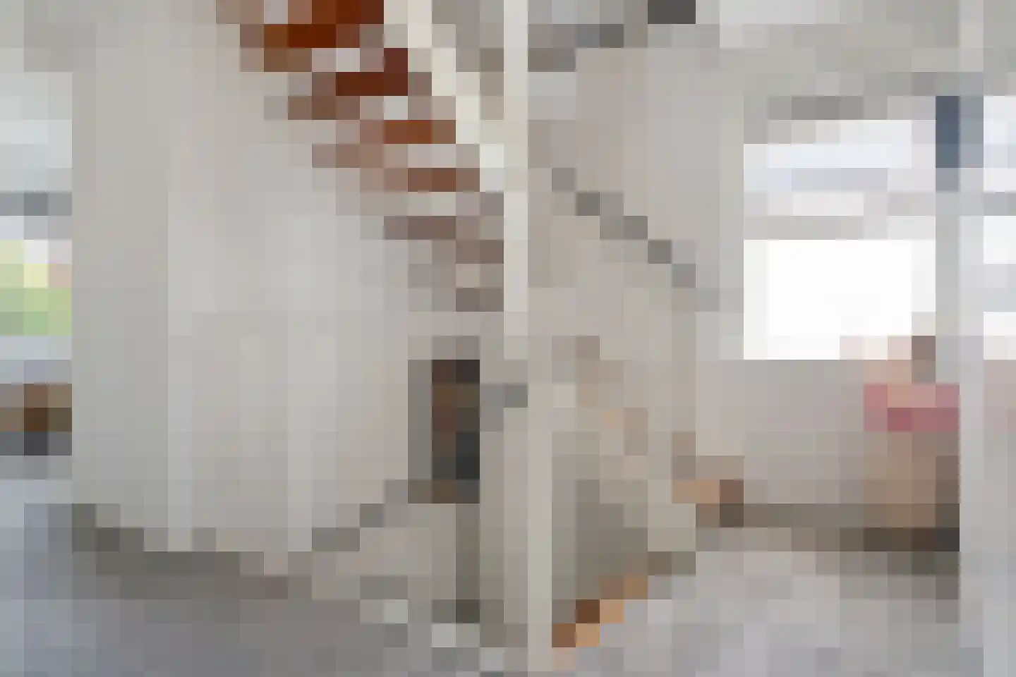 Michelangelohage 3 Emmeloord thumbnail 27