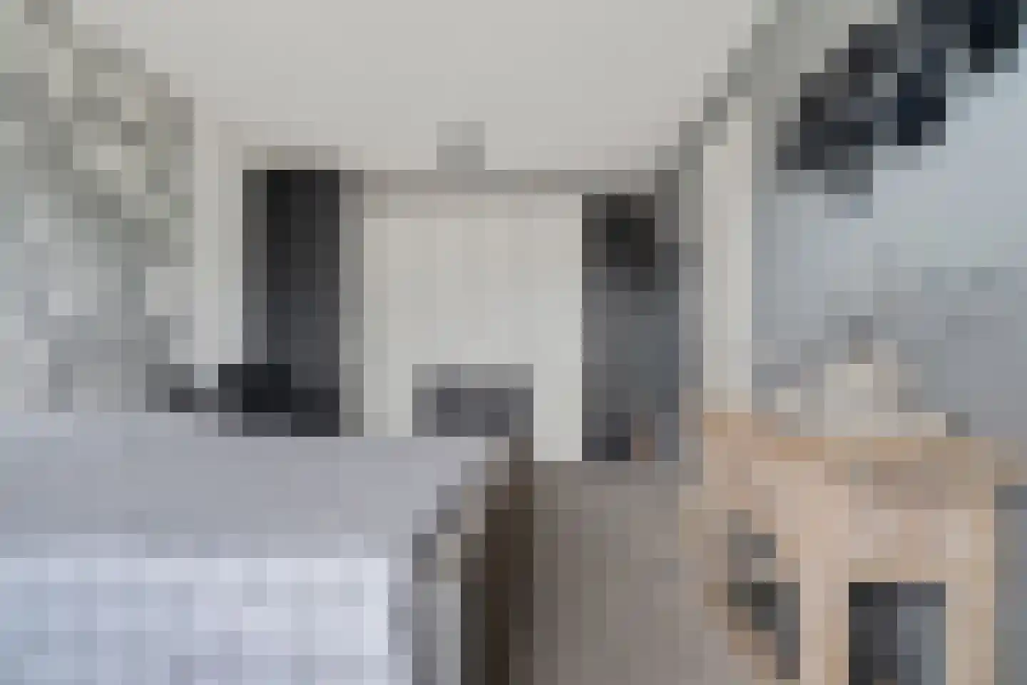 Michelangelohage 3 Emmeloord thumbnail 30