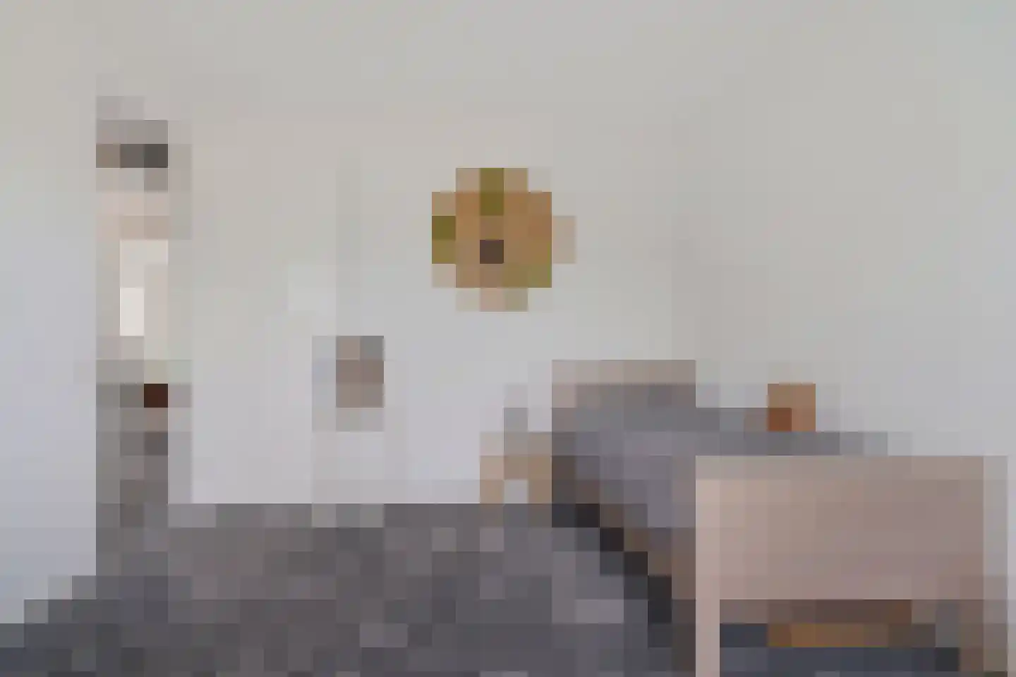 Michelangelohage 3 Emmeloord thumbnail 34