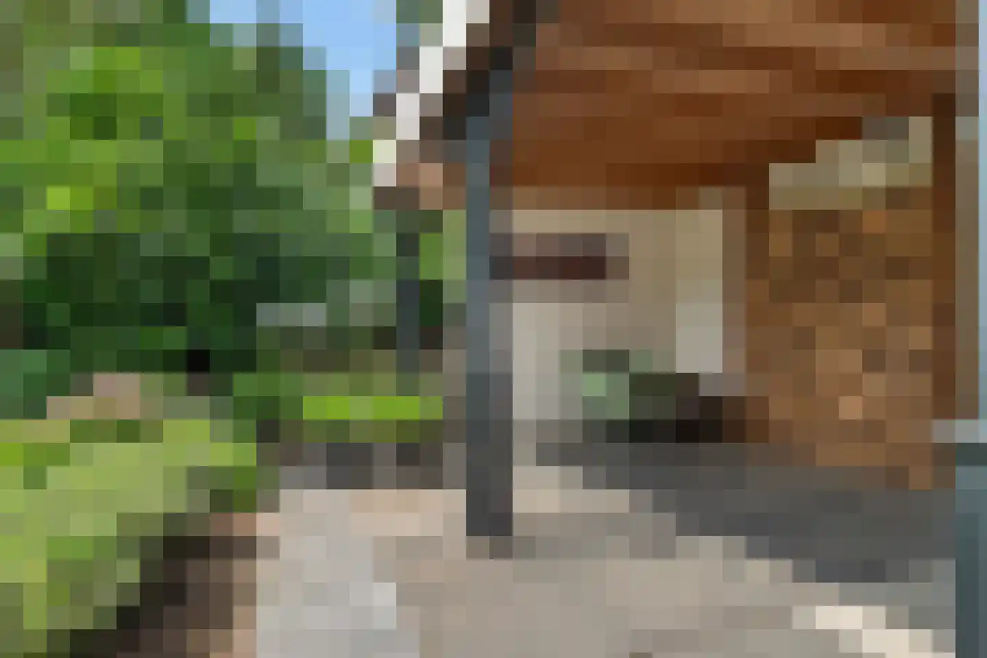 Michelangelohage 3 Emmeloord thumbnail 44