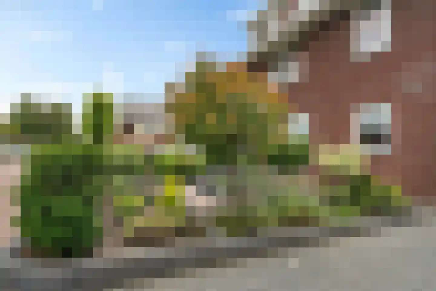 Michelangelohage 3 Emmeloord thumbnail 8