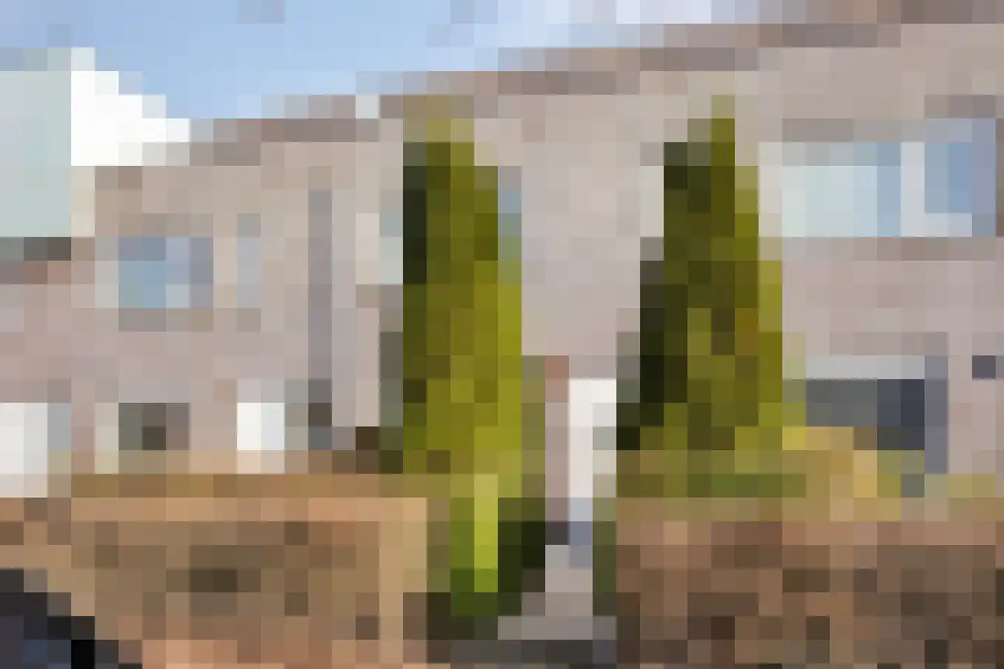 Michelangelostraat 161 Almere thumbnail 4