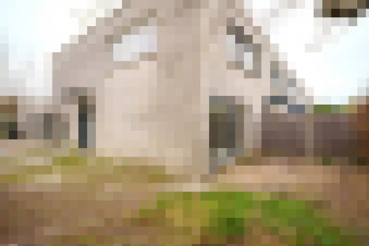 Michelangelostraat 191 Almere thumbnail 28