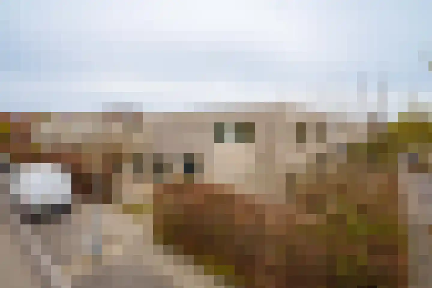 Michelangelostraat 191 Almere thumbnail 34