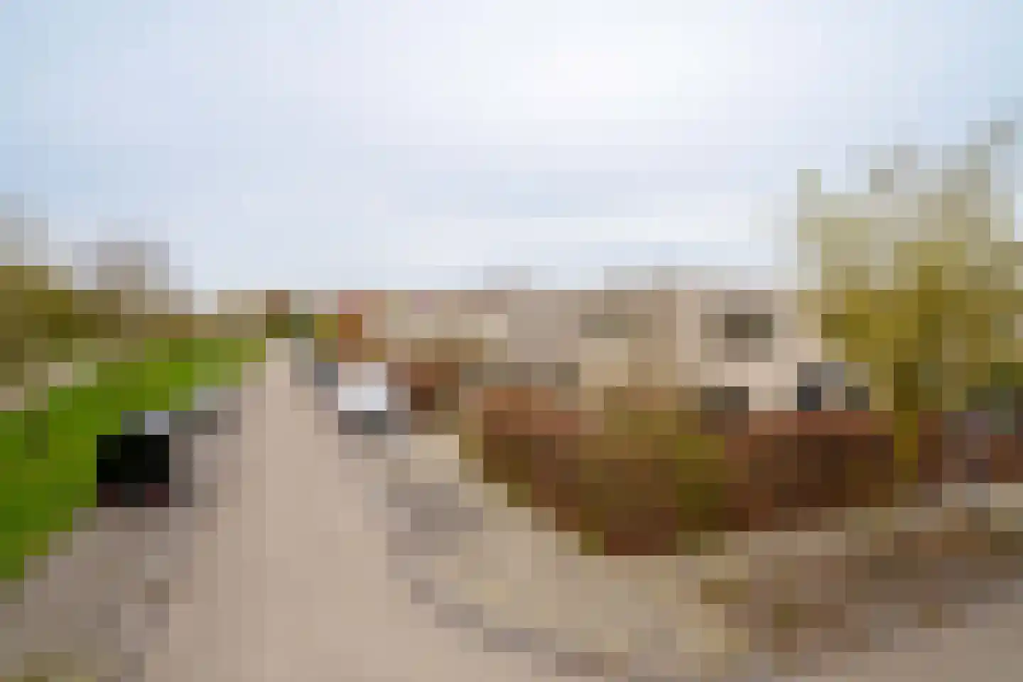 Michelangelostraat 191 Almere thumbnail 35
