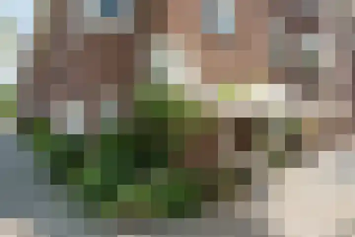 Michelangelostraat 29 Amsterdam thumbnail 38