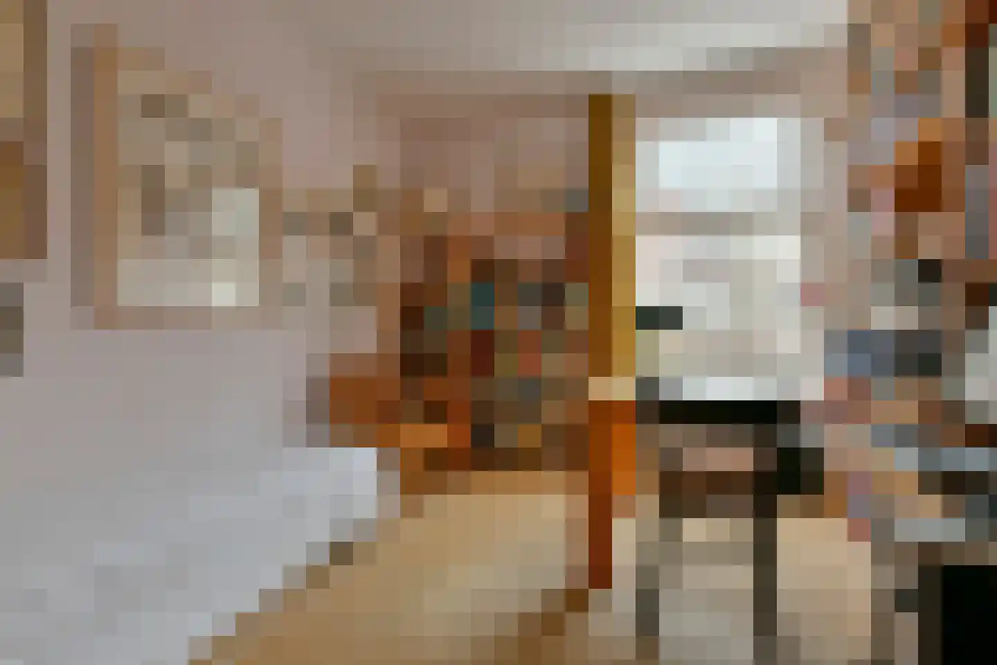Michelangelostraat 44 2 Amsterdam thumbnail 13