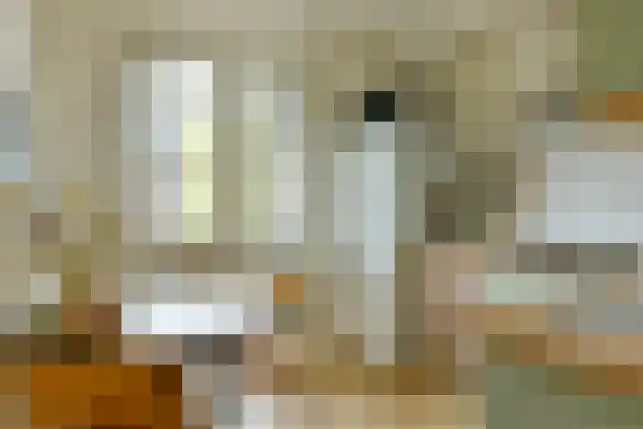 Michelangelostraat 53 3 Amsterdam thumbnail 9