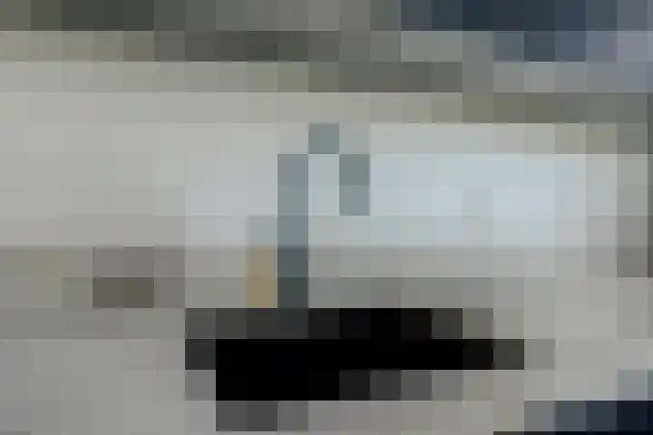 Michelangelostraat 6 Lent thumbnail 12