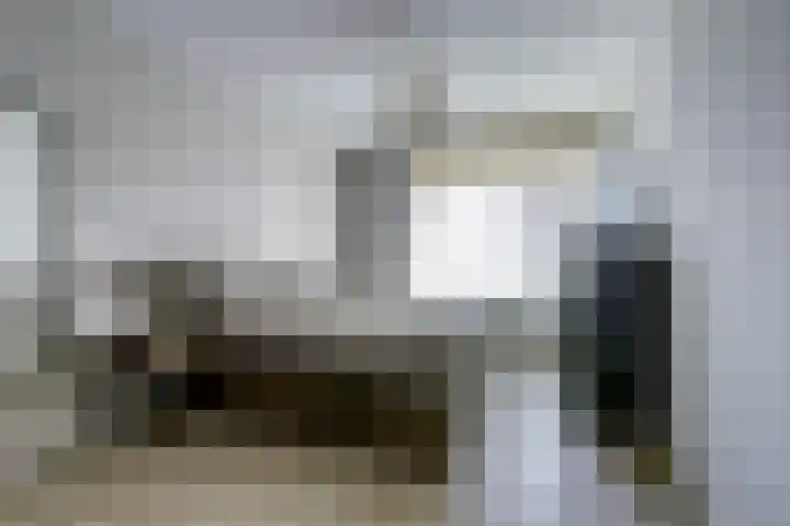 Michelangelostraat 6 Lent thumbnail 15