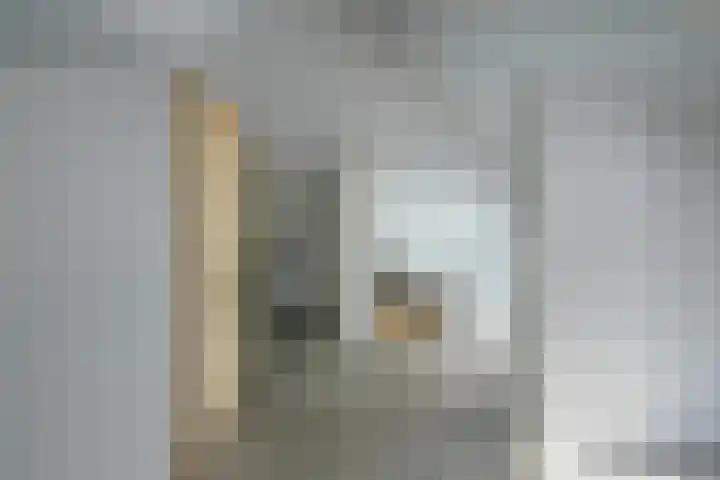 Michelangelostraat 6 Lent thumbnail 27