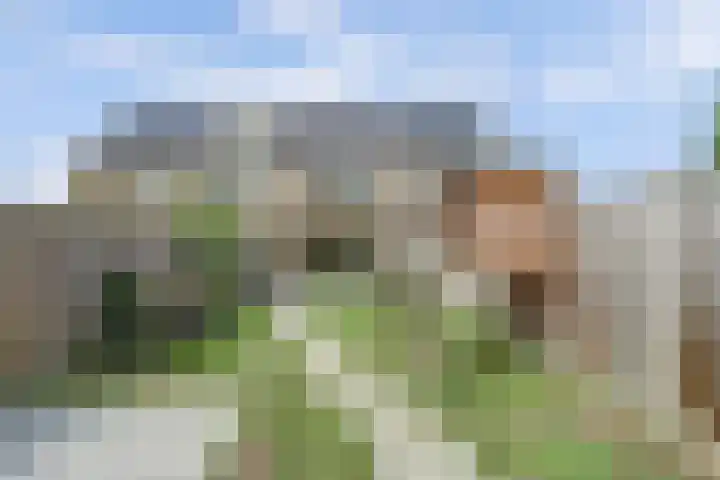 Michelangelostraat 6 Lent thumbnail 30