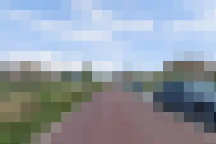 Michelangelostraat 6 Lent thumbnail 38