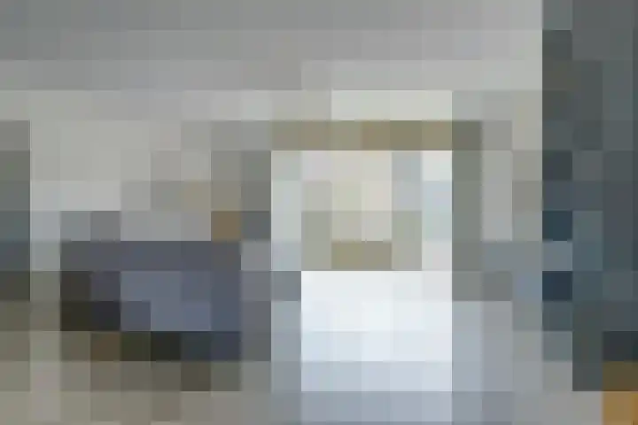 Michelangelostraat 6 Lent thumbnail 4