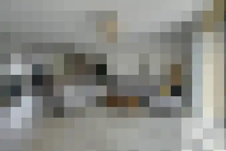 Michelangelostraat 6 Lent thumbnail 5