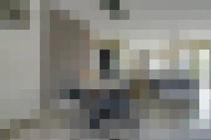 Michelangelostraat 6 Lent thumbnail 7