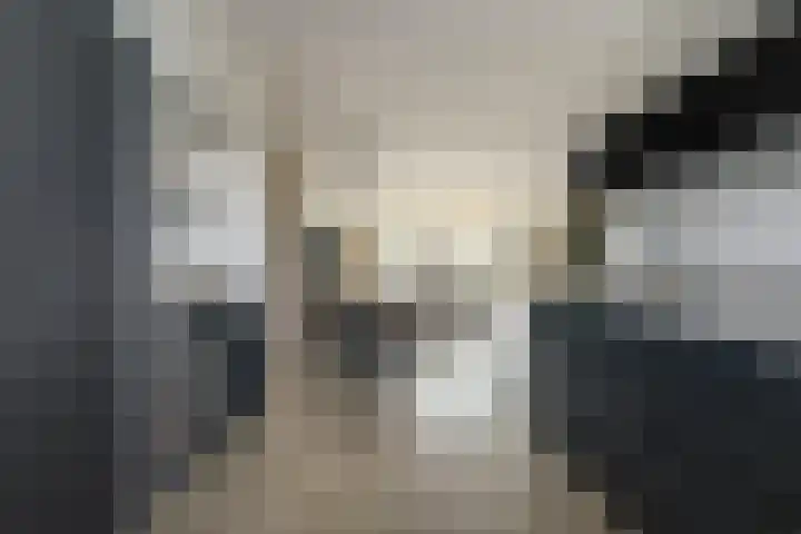 Michelangelostraat 6 Lent thumbnail 8