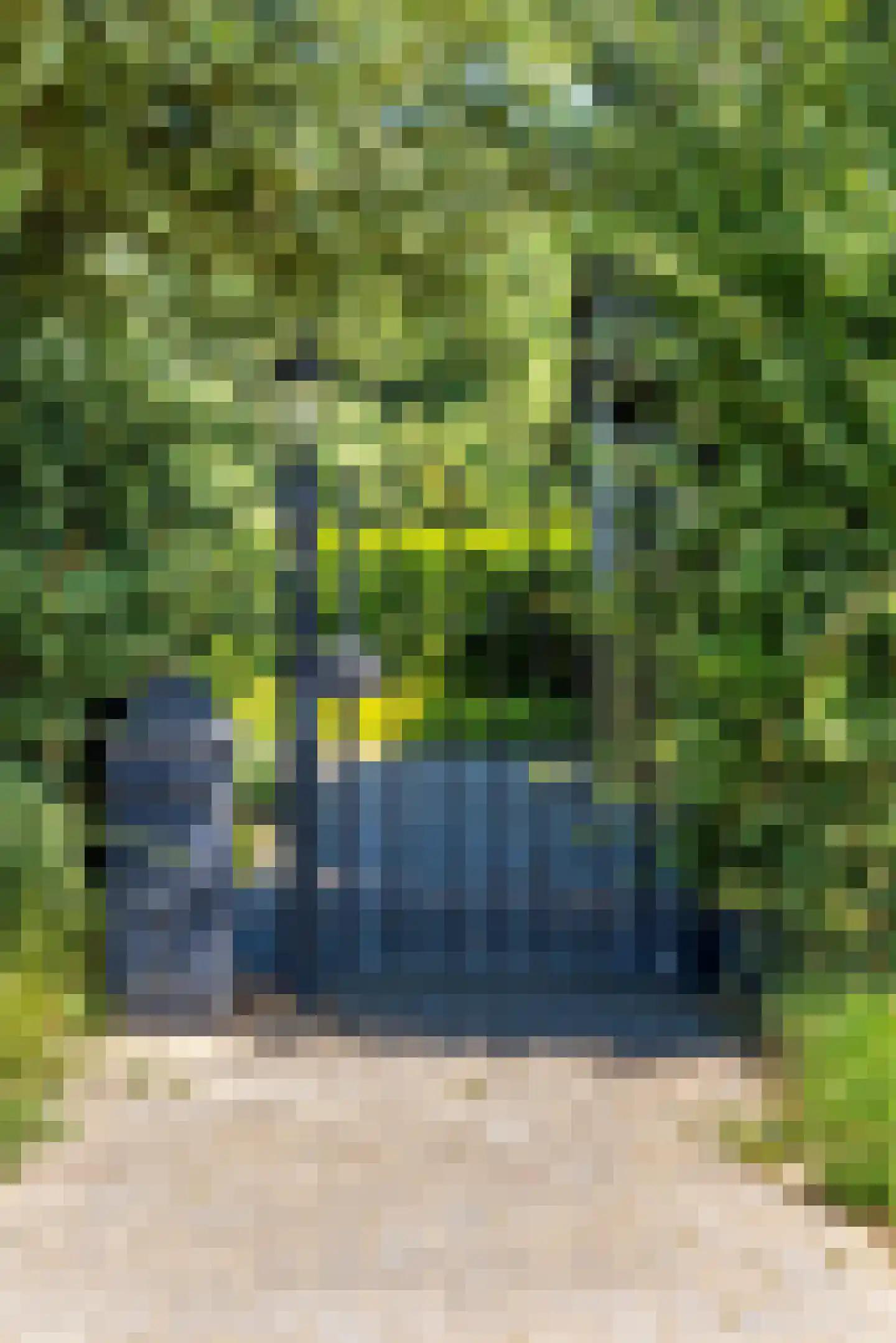 Michelstraat 9 Zelhem thumbnail 5