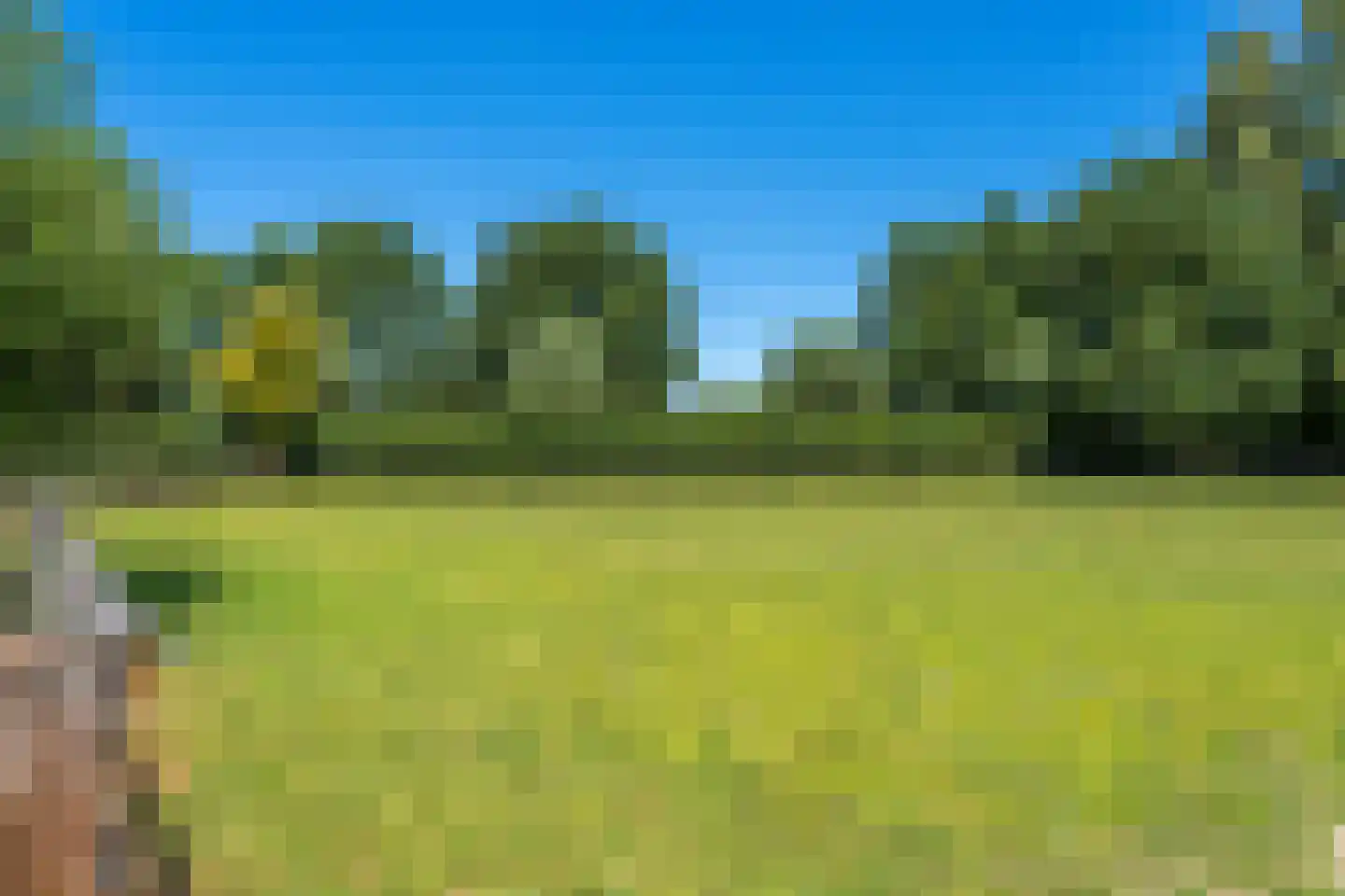 Michelstraat 9 Zelhem thumbnail 56