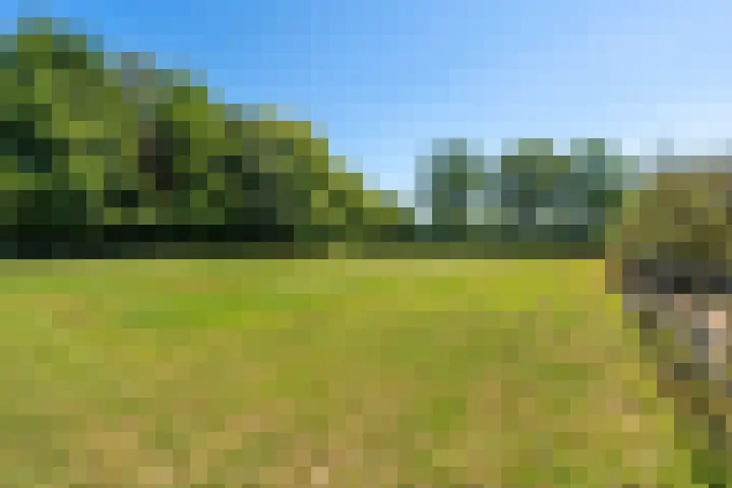Michelstraat 9 Zelhem thumbnail 57