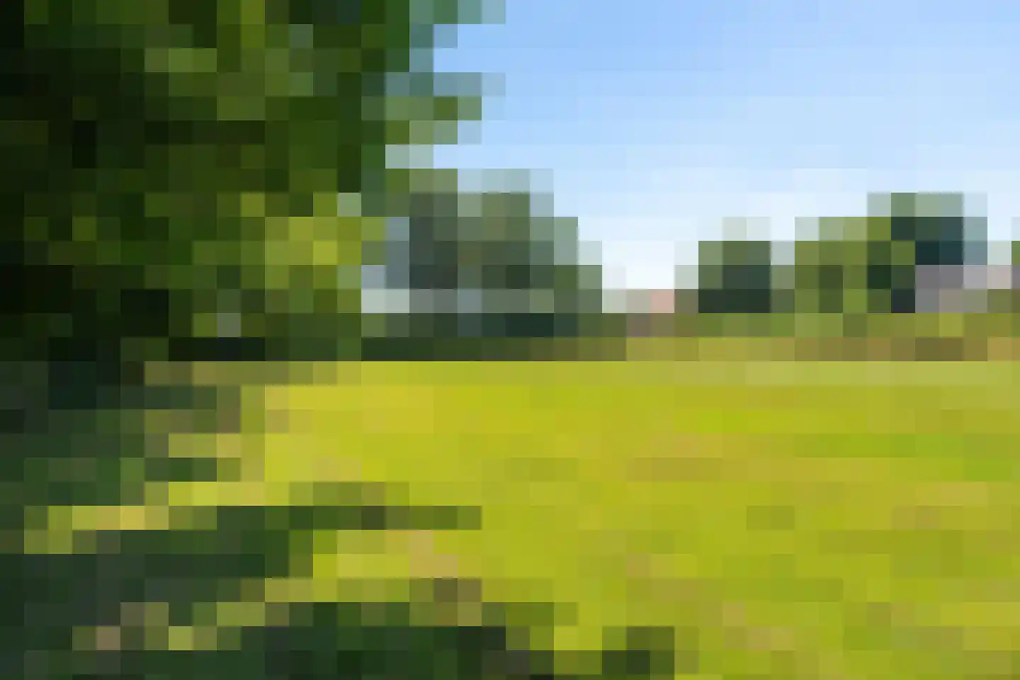 Michelstraat 9 Zelhem thumbnail 59