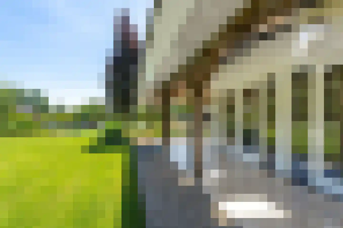 Michelstraat 9 Zelhem thumbnail 72
