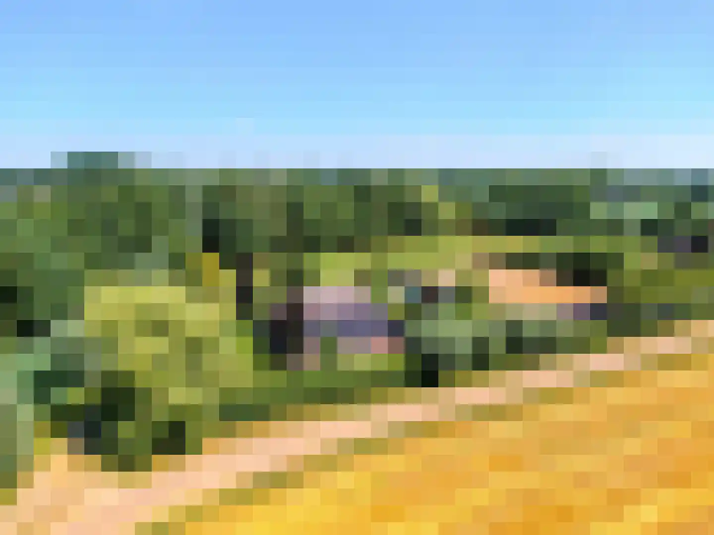 Michelstraat 9 Zelhem thumbnail 95