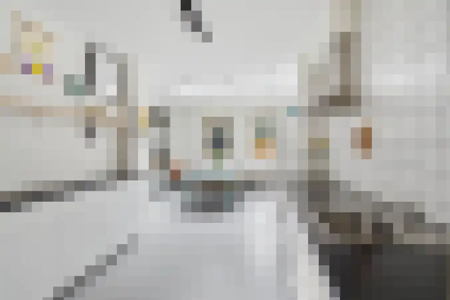 Michiel Adriaanszoon de Ruyterstraat 40 Maarssen thumbnail 10