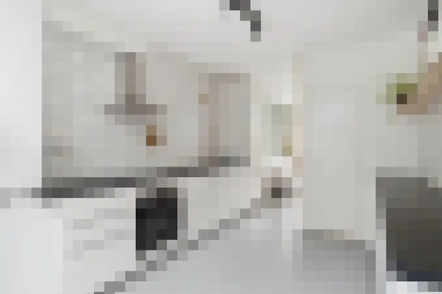Michiel Adriaanszoon de Ruyterstraat 40 Maarssen thumbnail 9