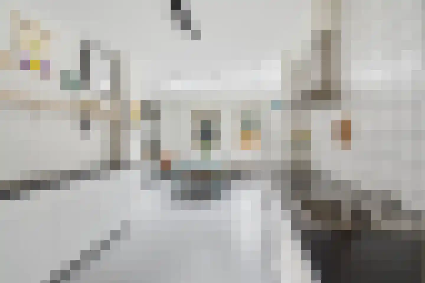 Michiel Adriaanszoon de Ruyterstraat 40 Maarssen thumbnail 9